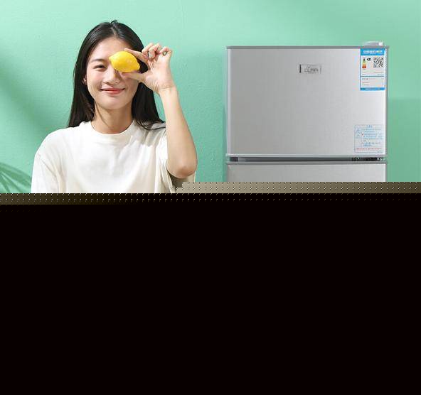 省电？租房族必备实用省电小冰箱推荐j9平台小冰箱哪个牌子好又实惠又(图5)