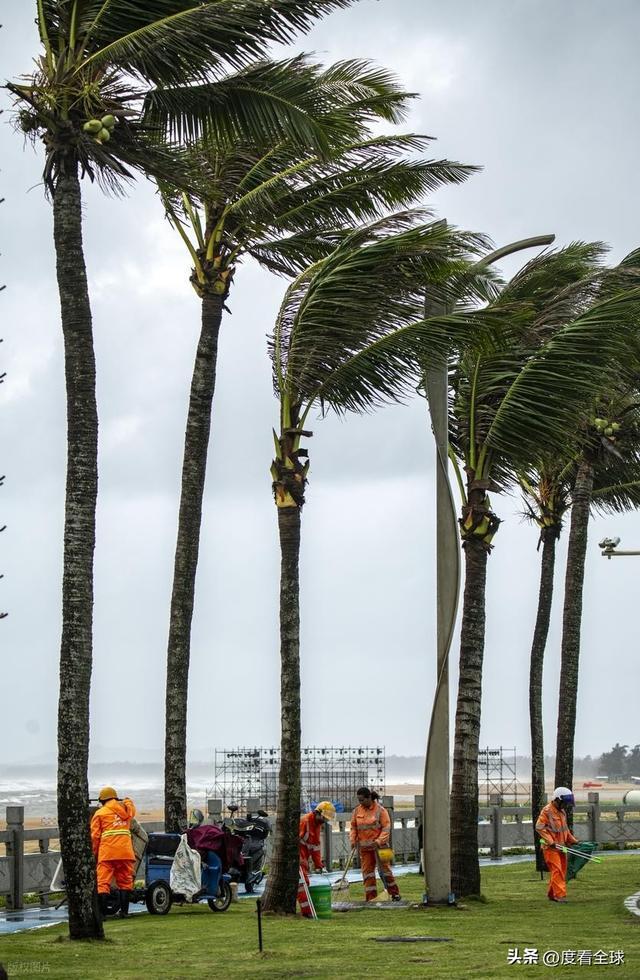 今夜登陆越南！海南暴雨狂风肆虐防护指南速存j9九游会真人第一品牌台风 “博罗依”(图6)