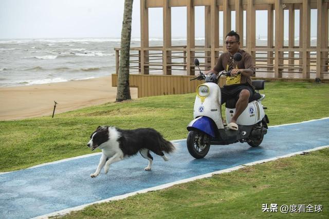 今夜登陆越南！海南暴雨狂风肆虐防护指南速存j9九游会真人第一品牌台风 “博罗依”(图13)