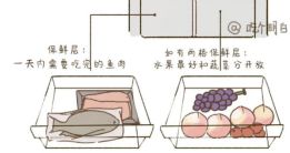 能吃？一文搞懂冰箱食物保存时间九游会J9入口冻了1年的肉还(图4)