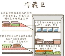 能吃？一文搞懂冰箱食物保存时间九游会J9入口冻了1年的肉还(图6)