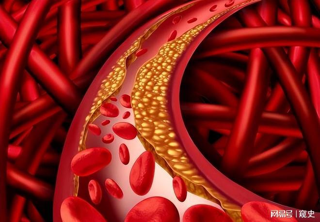 肪肝药物FGF21成跨国药企新战场九游会j9ag52亿美元收购！脂(图3)